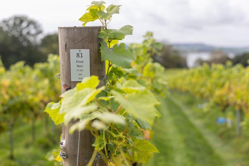 Lympstone Manor Hotel Restaurant & Vineyard - Relais & Chateaux エクスマウス エクステリア 写真