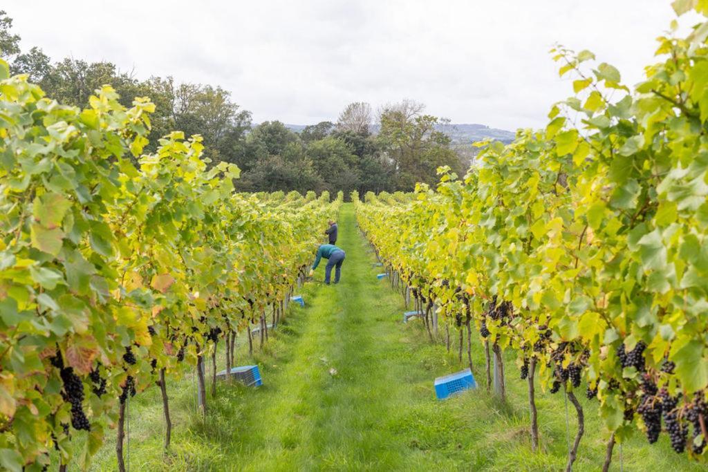 Lympstone Manor Hotel Restaurant & Vineyard - Relais & Chateaux エクスマウス エクステリア 写真