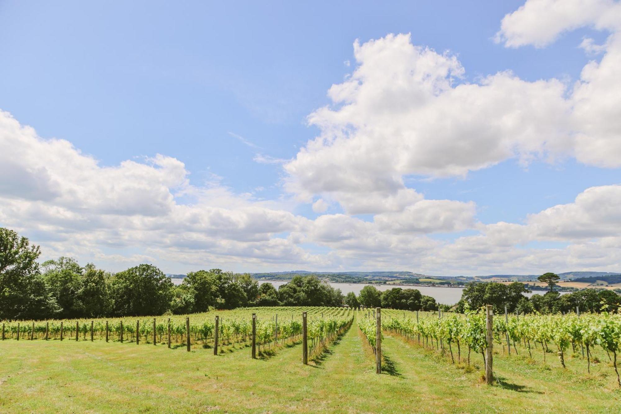 Lympstone Manor Hotel Restaurant & Vineyard - Relais & Chateaux エクスマウス エクステリア 写真