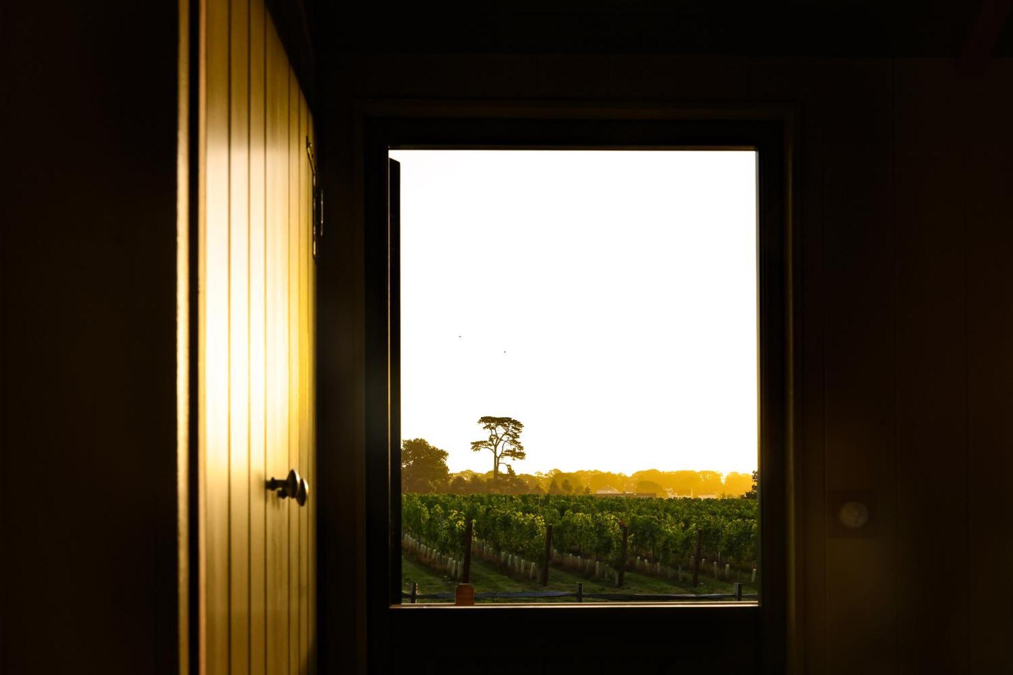 Lympstone Manor Hotel Restaurant & Vineyard - Relais & Chateaux エクスマウス エクステリア 写真