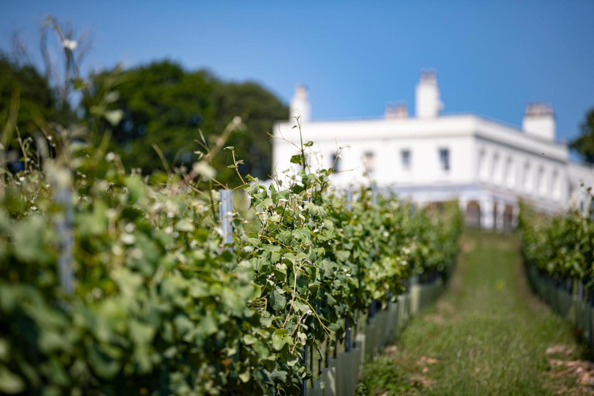 Lympstone Manor Hotel Restaurant & Vineyard - Relais & Chateaux エクスマウス エクステリア 写真