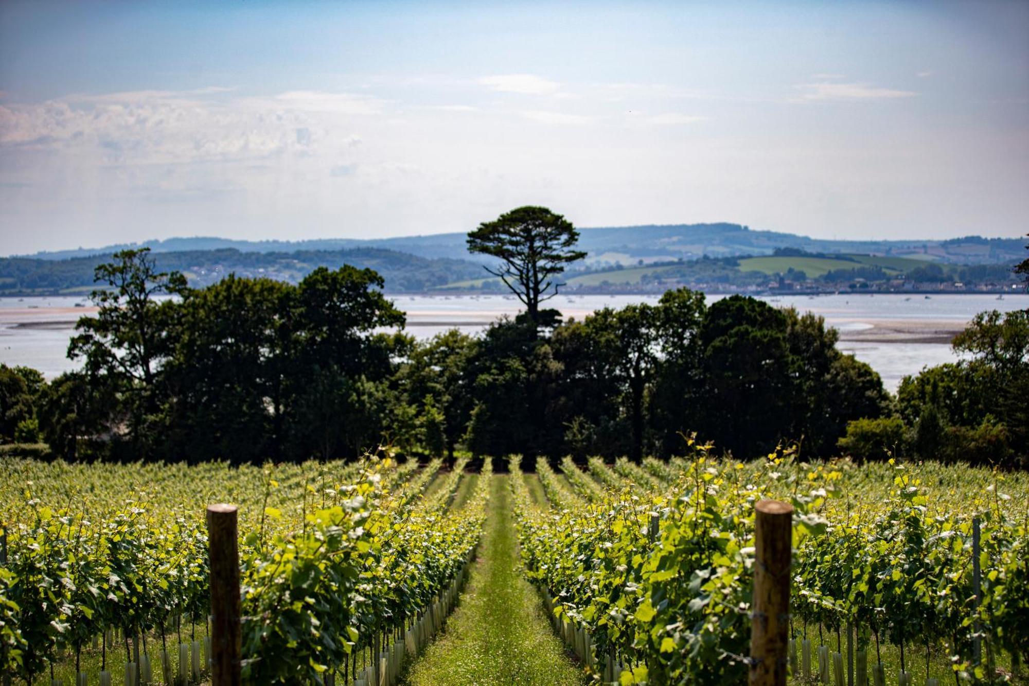 Lympstone Manor Hotel Restaurant & Vineyard - Relais & Chateaux エクスマウス エクステリア 写真