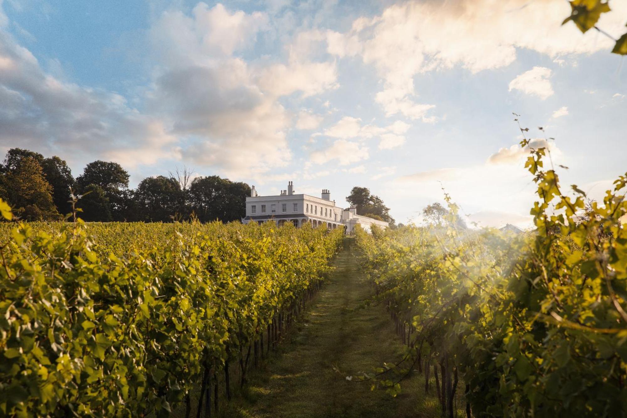 Lympstone Manor Hotel Restaurant & Vineyard - Relais & Chateaux エクスマウス エクステリア 写真