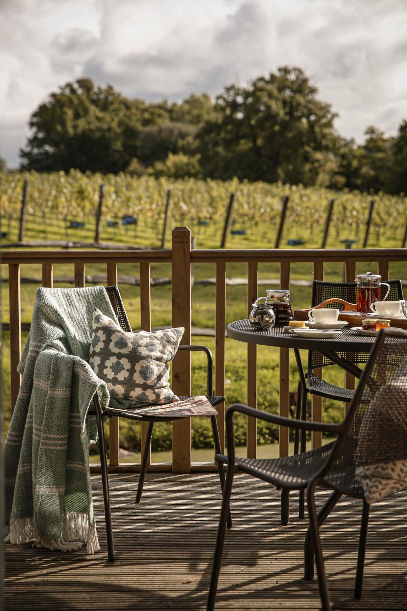 Lympstone Manor Hotel Restaurant & Vineyard - Relais & Chateaux エクスマウス エクステリア 写真